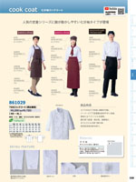 �����ȥ���861029���꡼����338�ڡ�����