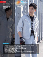 �ӥå��ܡ����EBA6017���꡼����100�ڡ�����