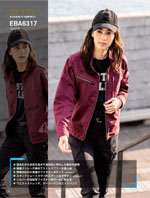 �ӥå��ܡ����EBA6317���꡼����134�ڡ�����