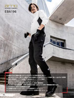 �ӥå��ܡ����EBA196���꡼����154�ڡ�����