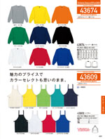 自重堂の43674シリーズ（491ページ）