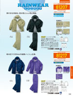 自重堂の81207シリーズ（509ページ）