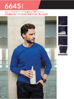 ���¤�6645-53���꡼����244�ڡ�����