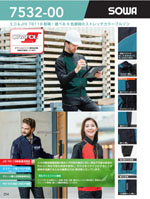 ���¤�7532-00���꡼����254�ڡ�����